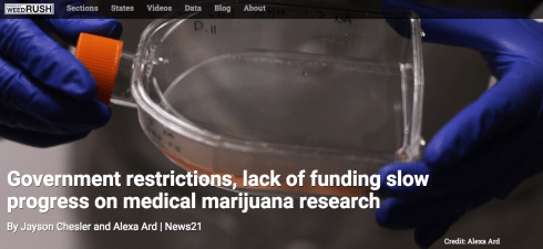 Screen Shot 2015-08-29 at 11.14.25 PM