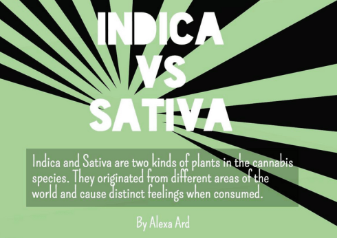 Screen Shot 2015-08-29 at 11.27.39 PM